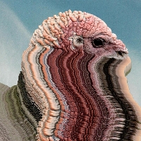 #9 - Holy Fuck - Bird Brains EP Holy Fuck - Bird Brains EP