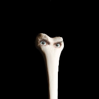 #4 - Juana Molina - Halo Juana Molina - Halo