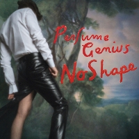 #2 - Perfume Genius - No Shape Perfume Genius - No Shape