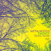 #3 - Metalwood - Twenty Metalwood - Twenty