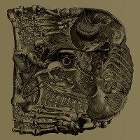 #5 - Boris - Dear Boris - Dear