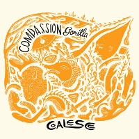 Compassion Gorilla - Coalesce