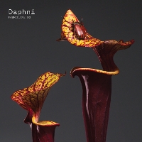 #5 - Daphni - Fabriclive 93 Daphni - Fabriclive 93