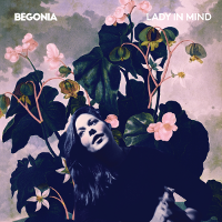 #7 - Begonia - Lady In Mind Begonia - Lady In Mind