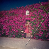 #4 - Feist - Pleasure Feist - Pleasure