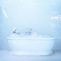 #4 - Frankie Cosmos - Vessel Frankie Cosmos - Vessel