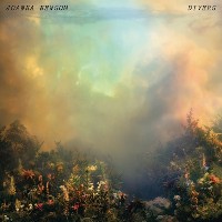 #1 - Joanna Newsom - Divers Joanna Newsom - Divers