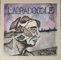 #1 - Labradoodle - Lawnchair Destroyer Labradoodle - Lawnchair Destroyer