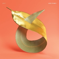 #5 - PVT - New Spirit PVT - New Spirit