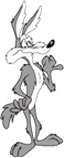 Wile E. Coyote