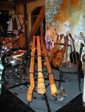 The stage is the canvas of BC musician Shane Philip – Masa’s Sun Peaks Resort