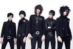 The Horrors