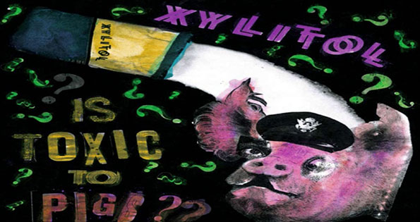 Xylitol Xylitol - Is that Toxic to Pigs