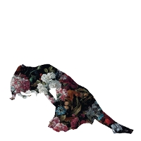 #5 - Nikki's Wives - Bloom Nikki's Wives - Bloom