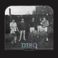 #3 - Disq - Collector Disq - Collector