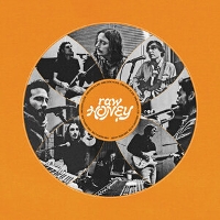 #4 - Drugdealer - Raw Honey Drugdealer - Raw Honey