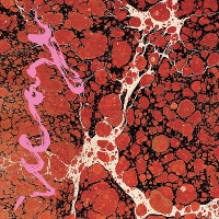 #5 - Iceage - Beyondless Iceage - Beyondless