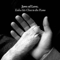 #6 - Jaws Of Love - Tasha Sits Close To The Piano Jaws Of Love - Tasha Sits Close To The Piano