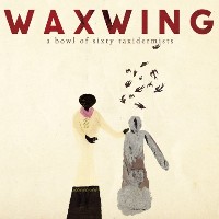 Waxwing - A Bowl of Sixty Taxidermists