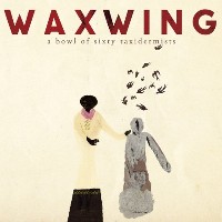 #5 - Waxwing - A Bowl of Sixty Taxidermists Waxwing - A Bowl of Sixty Taxidermists