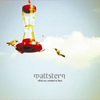 Matt Stern - What You Wanted to Hear