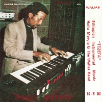 #6 - Hailu Mergia - Tezeta Hailu Mergia - Tezeta