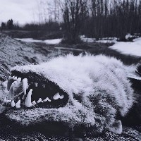 #9 - Failgiver - Failgiver Failgiver - Failgiver
