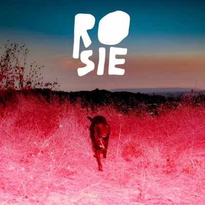 Kaycie Satterfield - Rosie