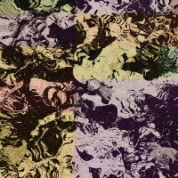#4 - Propulse - Imaginal EP Propulse - Imaginal EP