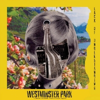 #3 - Westminster Park - Lack of Understanding Westminster Park - Lack of Understanding