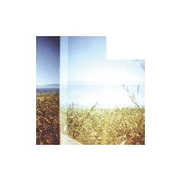 #9 - Landtitles - Your Voice In Pieces Landtitles - Your Voice In Pieces