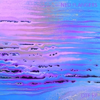 #7 - Ned Flangers - DTF EP Ned Flangers - DTF EP