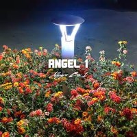 #2 - Angel 1 - Allegra Bin 1 Angel 1 - Allegra Bin 1