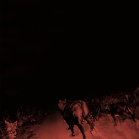 #8 - Bambara - Shadow On Everything Bambara - Shadow On Everything