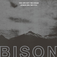 #6 - Bison - You Are Not the Ocean You Are the Patient Bison - You Are Not the Ocean You Are the Patient