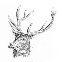 #7 - Black Deer - Black Deer Black Deer - Black Deer