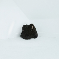 #14 - Chelsea Wolfe - Hiss Spun Chelsea Wolfe - Hiss Spun