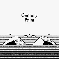 #7 - Century Palm - Century Palm Century Palm - Century Palm
