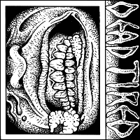 #7 - Dead Tired - Vol. Three Dead Tired - Vol. Three