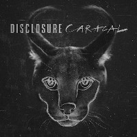 #11 - Disclosure - Caracal Disclosure - Caracal