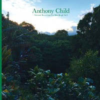 #3 - Anthony Child - Electronic Recordings from Maui Jungle Vol. 1 Anthony Child - Electronic Recordings from Maui Jungle Vol. 1
