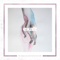 #2 - Exalt - The Shape You Took Before The Ache Exalt - The Shape You Took Before The Ache