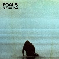 #6 - Foals - What Went Down Foals - What Went Down