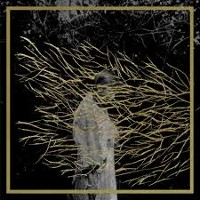 Forest Swords - Engravings