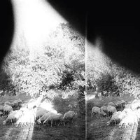 #7 - Godspeed You! Black Emperor - Asunder, Sweet and Other Distress Godspeed You! Black Emperor - Asunder, Sweet and Other Distress