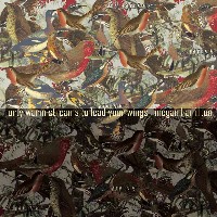 #6 - Megan Hamilton - Forty Warm Streams to Lead Your Wings Megan Hamilton - Forty Warm Streams to Lead Your Wings
