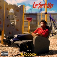 #2 - Raccoon - Le set up Raccoon - Le set up