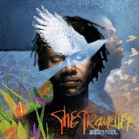 #8 - Baaba Maal - The Traveller Baaba Maal - The Traveller
