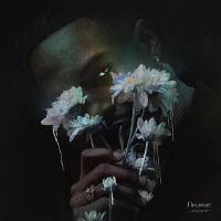 #10 - Jazz Cartier - Fleurever Jazz Cartier - Fleurever