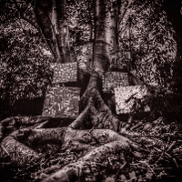 #5 - Kamasi Washington - Harmony of Difference Kamasi Washington - Harmony of Difference